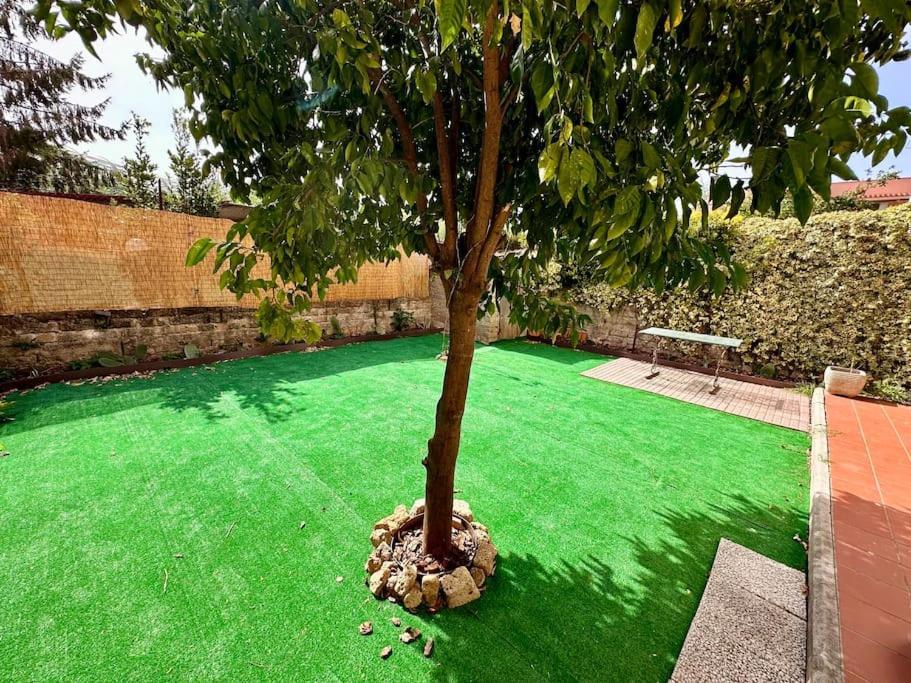 Apartment Mons Rom